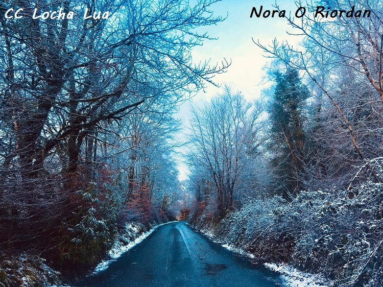 Nora 1